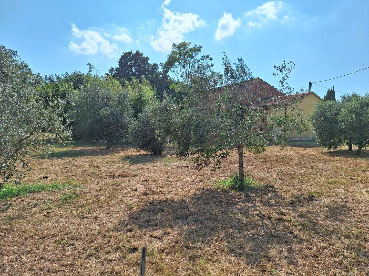 immagine annuncio 3 di 14