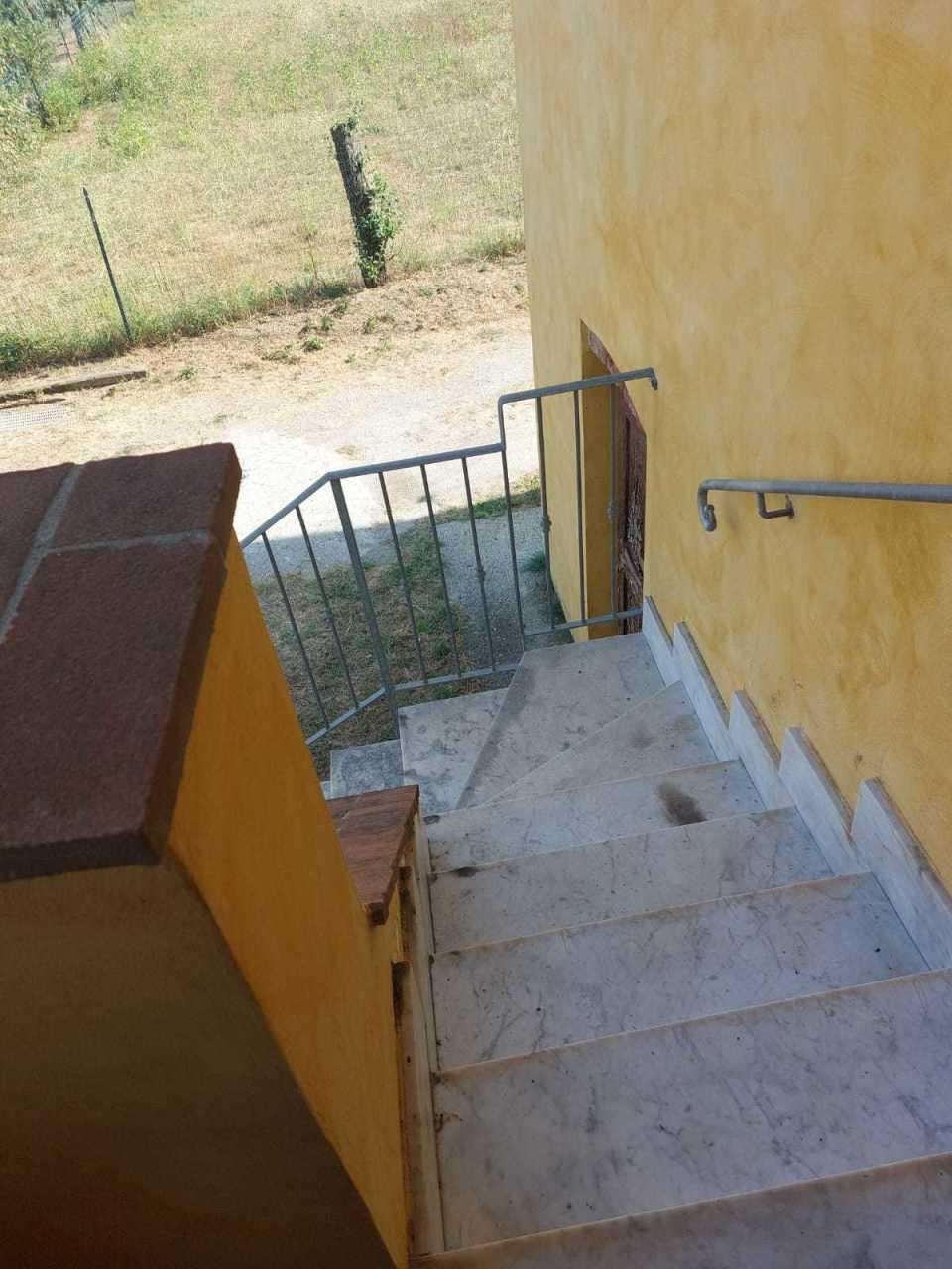  - foto 13