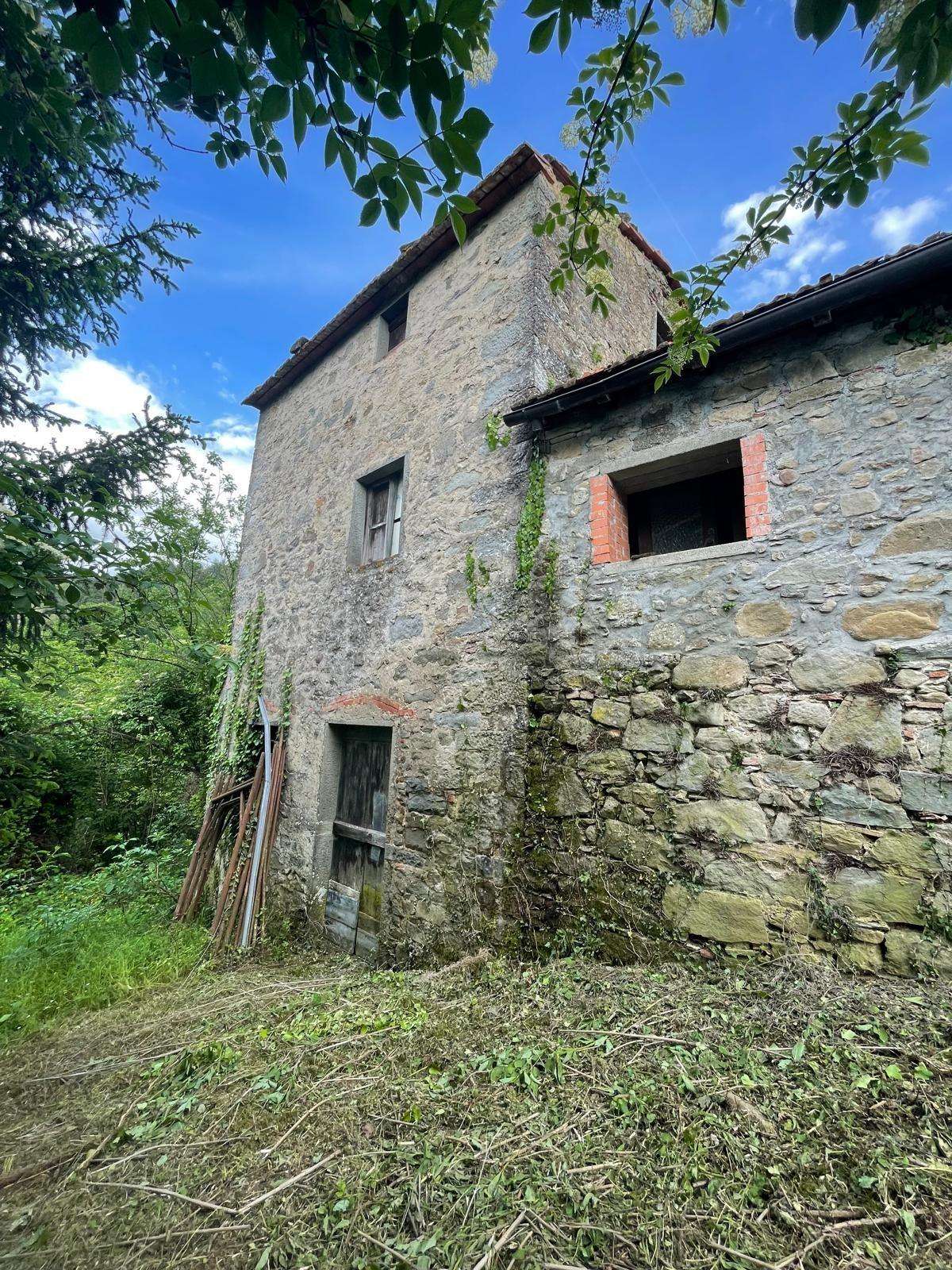 Azienda agricola Casabasciana LU,, Bagni di Lucca