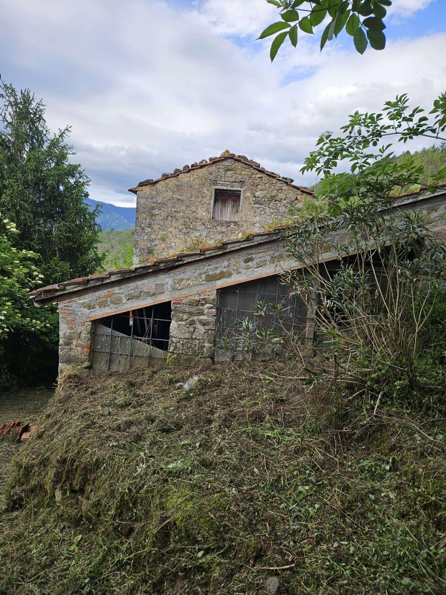 immagine annuncio 4 di 6