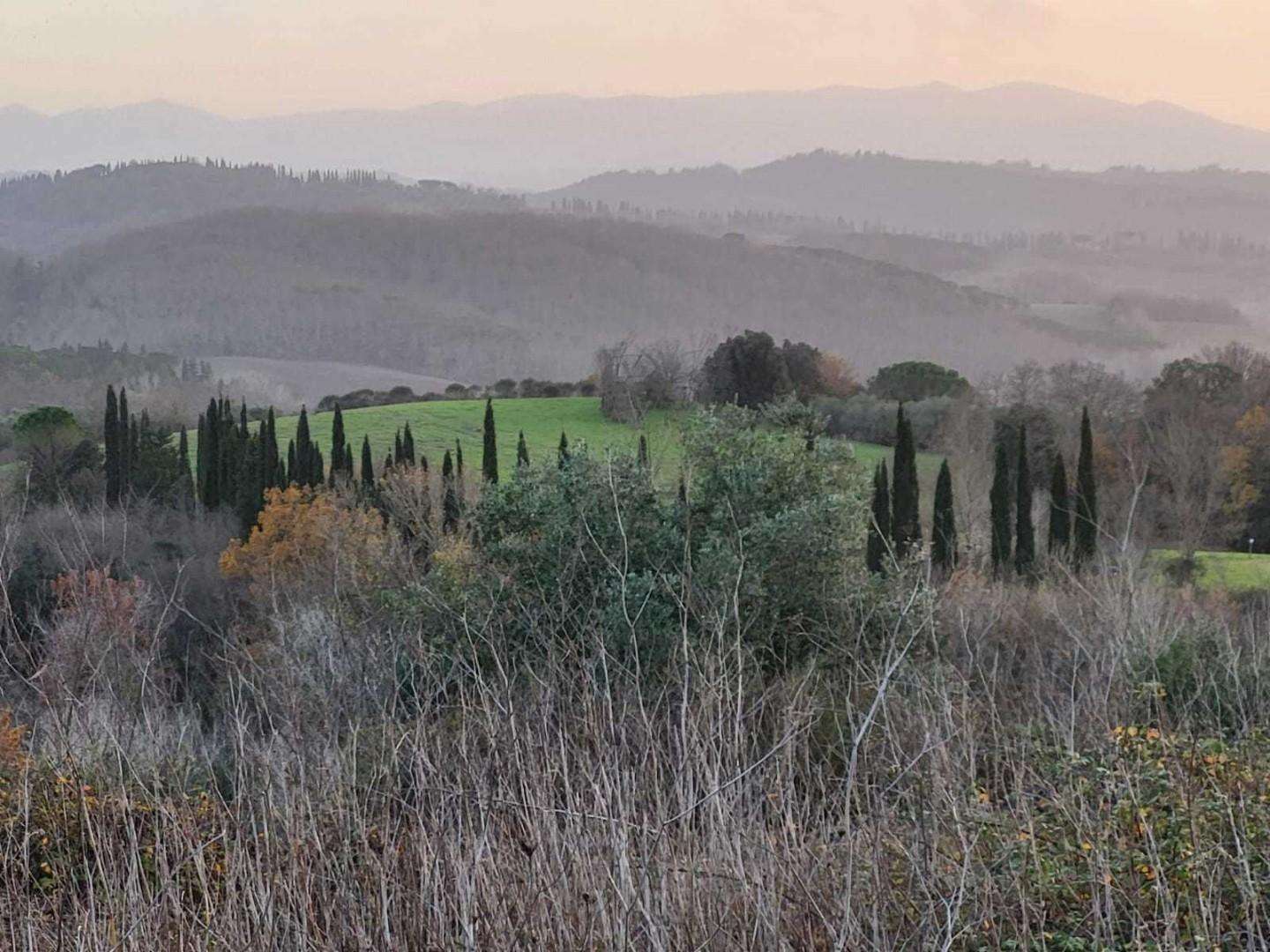 Terreno agricolo Via Carbonaia,  56036, Palaia