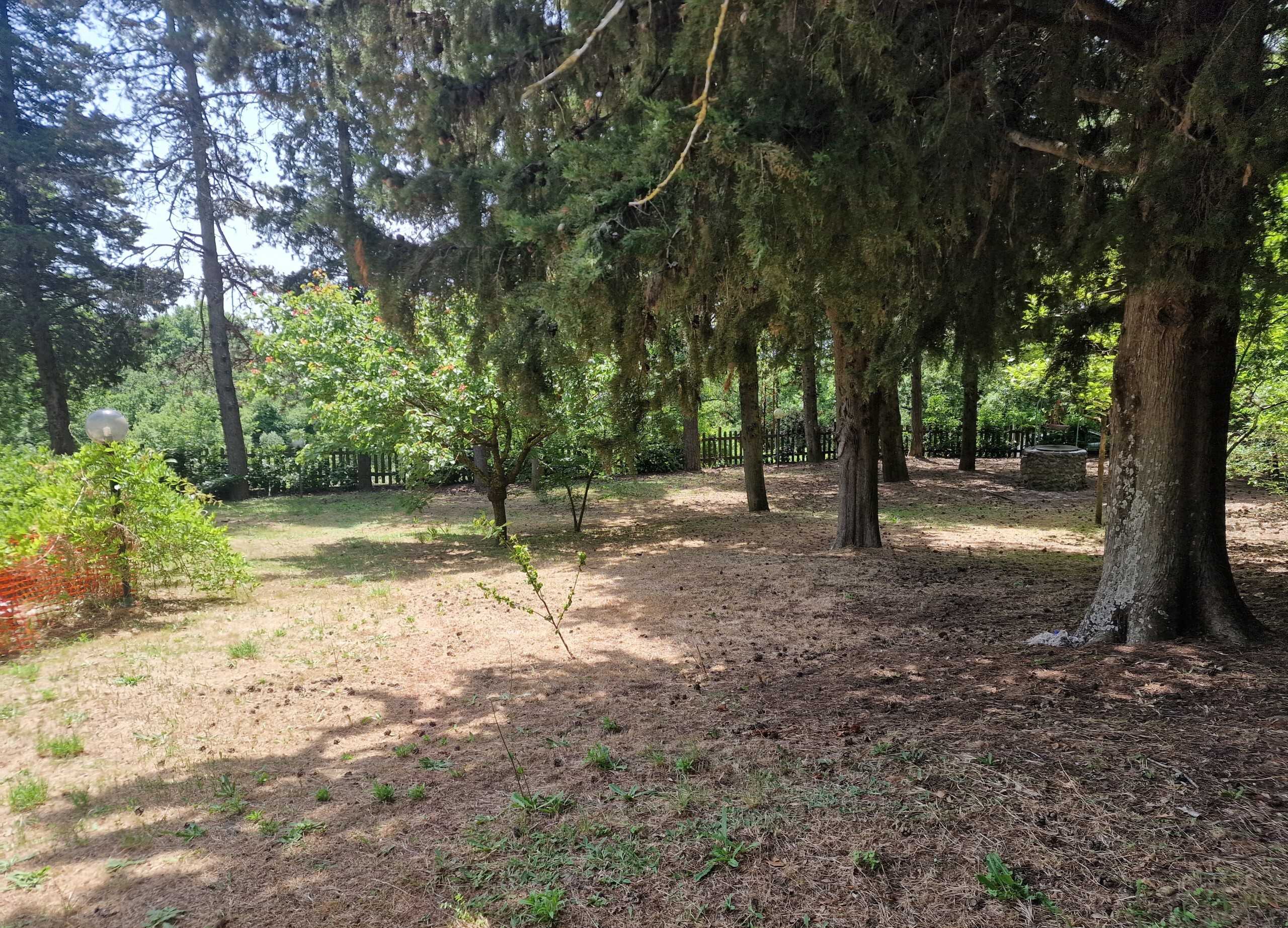  - foto 59