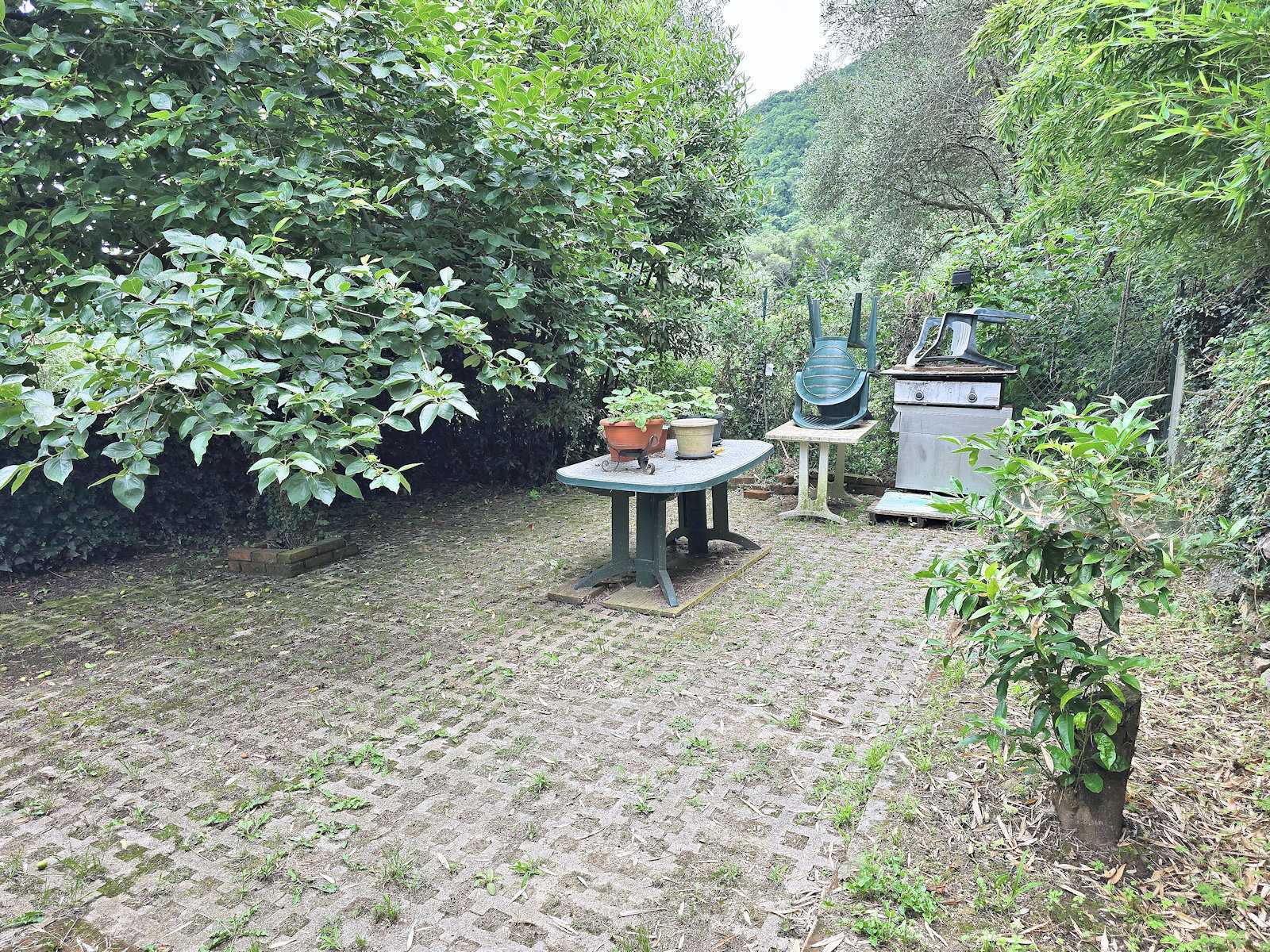  - foto 24