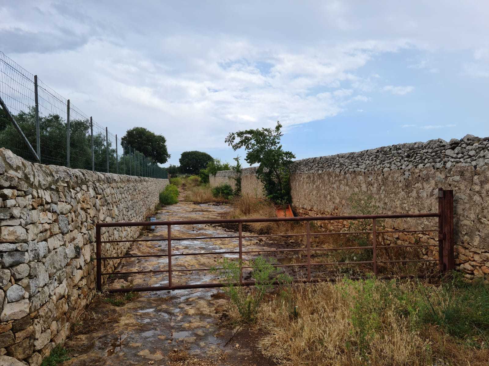 immagine annuncio 7 di 9