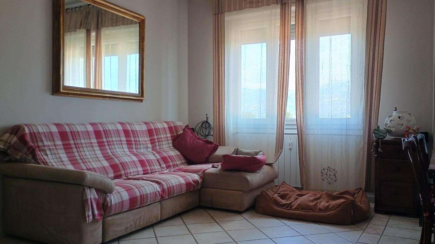 immagine annuncio 8 di 13