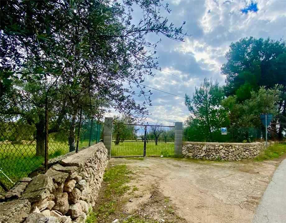 immagine annuncio 4 di 7