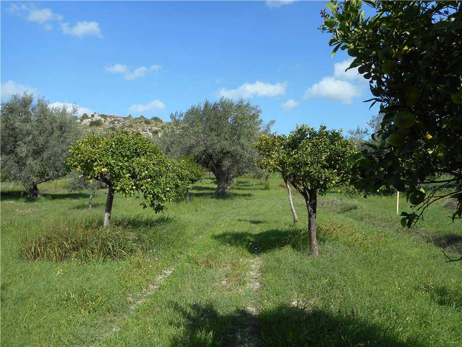  - foto 12