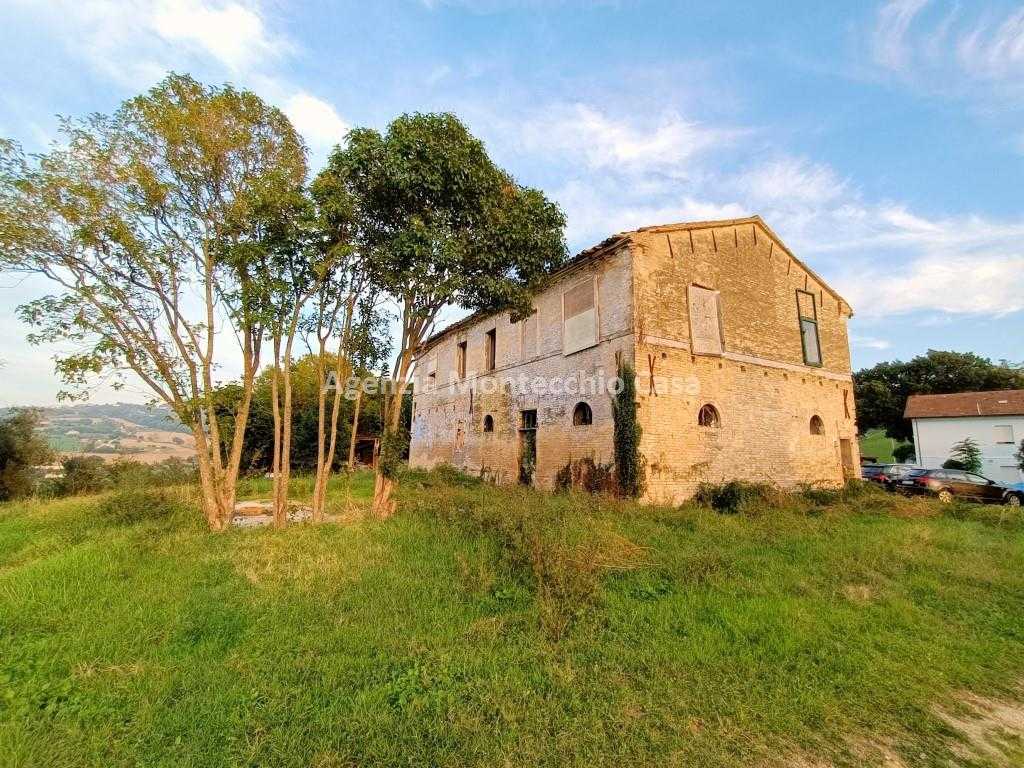 immagine annuncio 3 di 11
