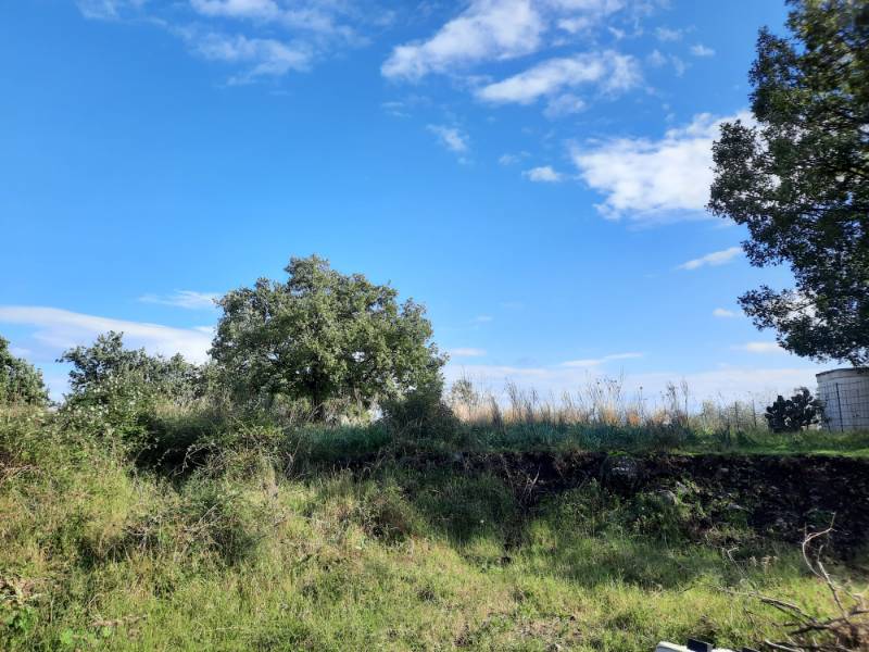 Terreno agricolo Via Milano, Zafferana Etnea