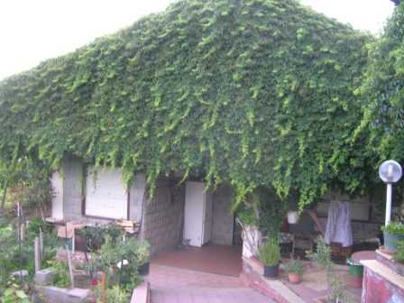 Villa Via cavaliere bosco, Santa Maria di Licodia