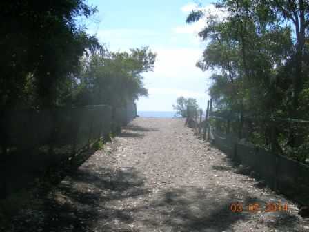  - foto 7