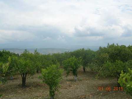  - foto 4