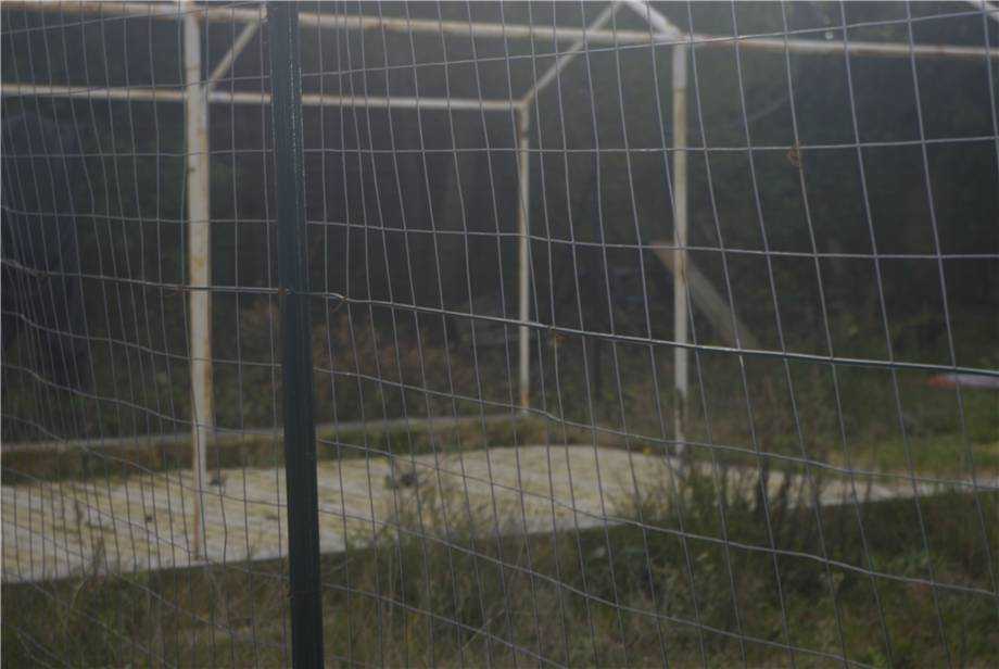  - foto 12