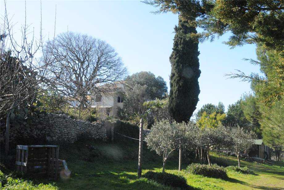 - foto 19