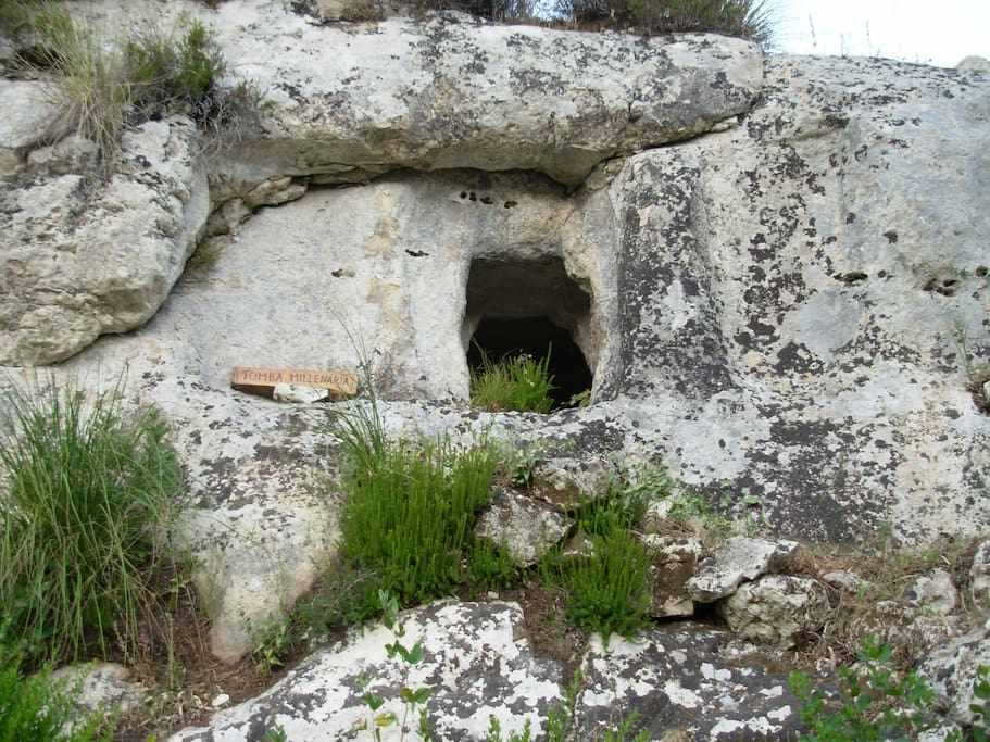  - foto 5