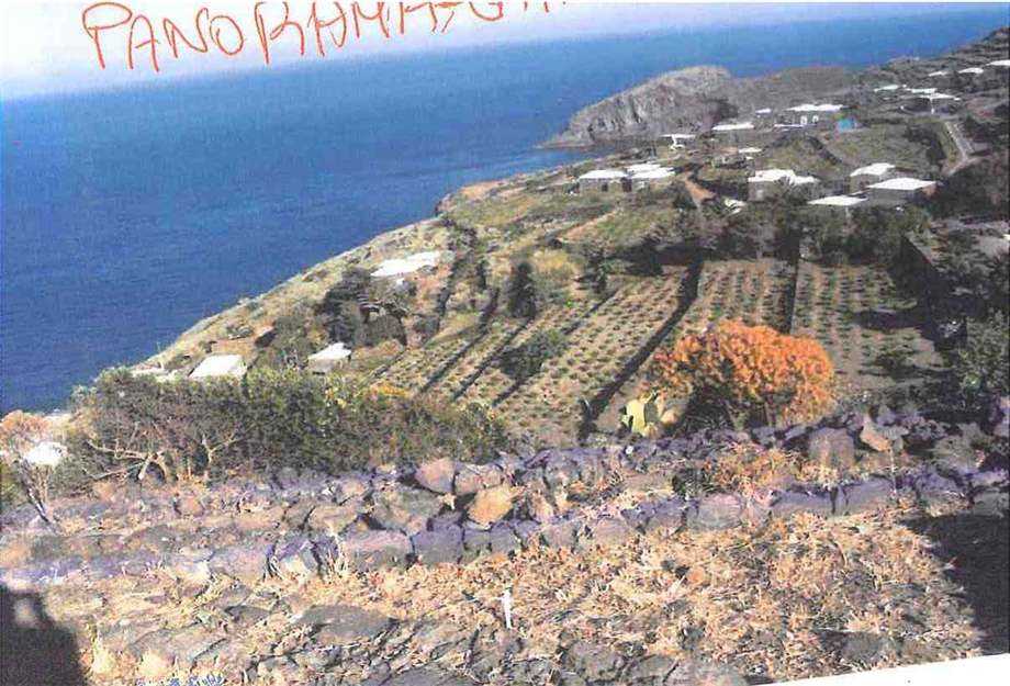  - foto 16