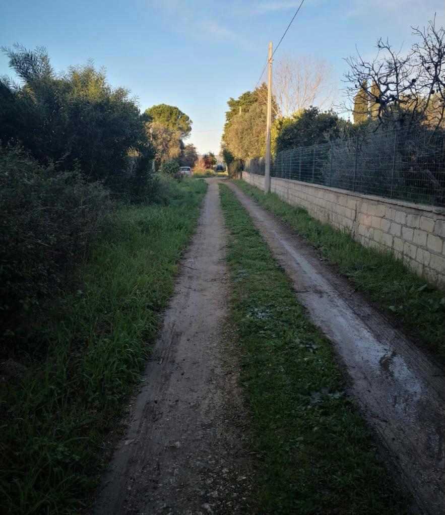  - foto 9
