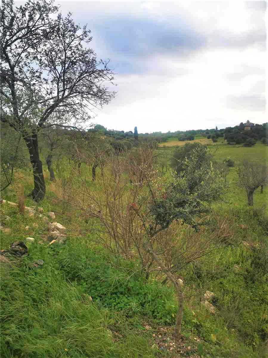  - foto 8