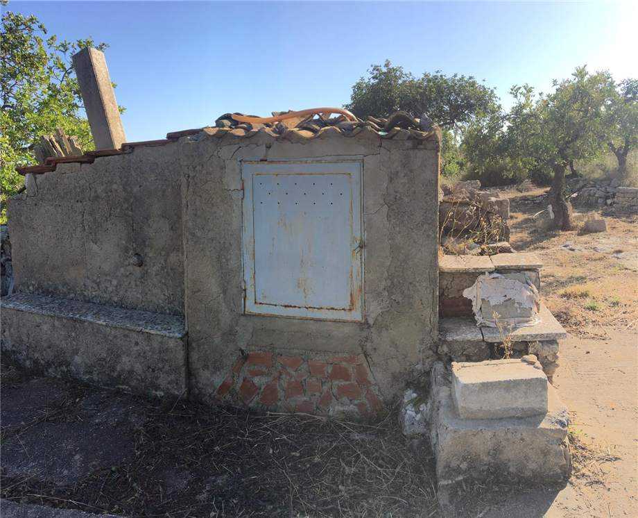  - foto 12