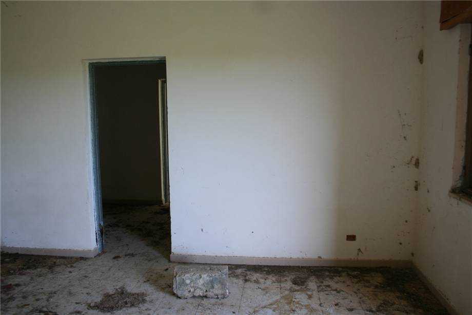  - foto 12