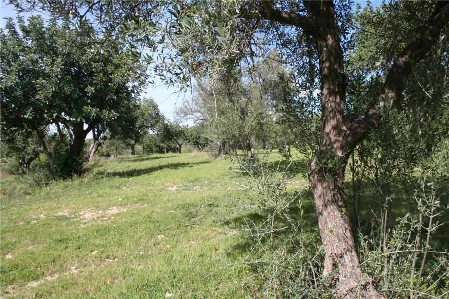  - foto 17