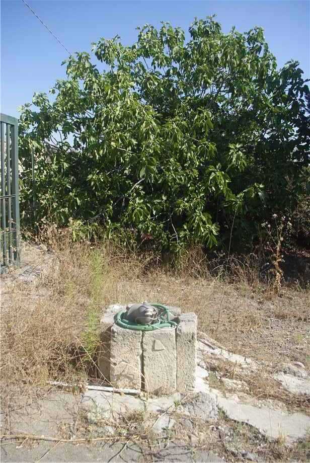  - foto 16