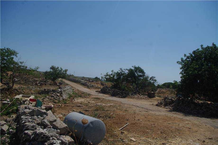  - foto 13
