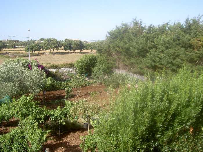  - foto 5