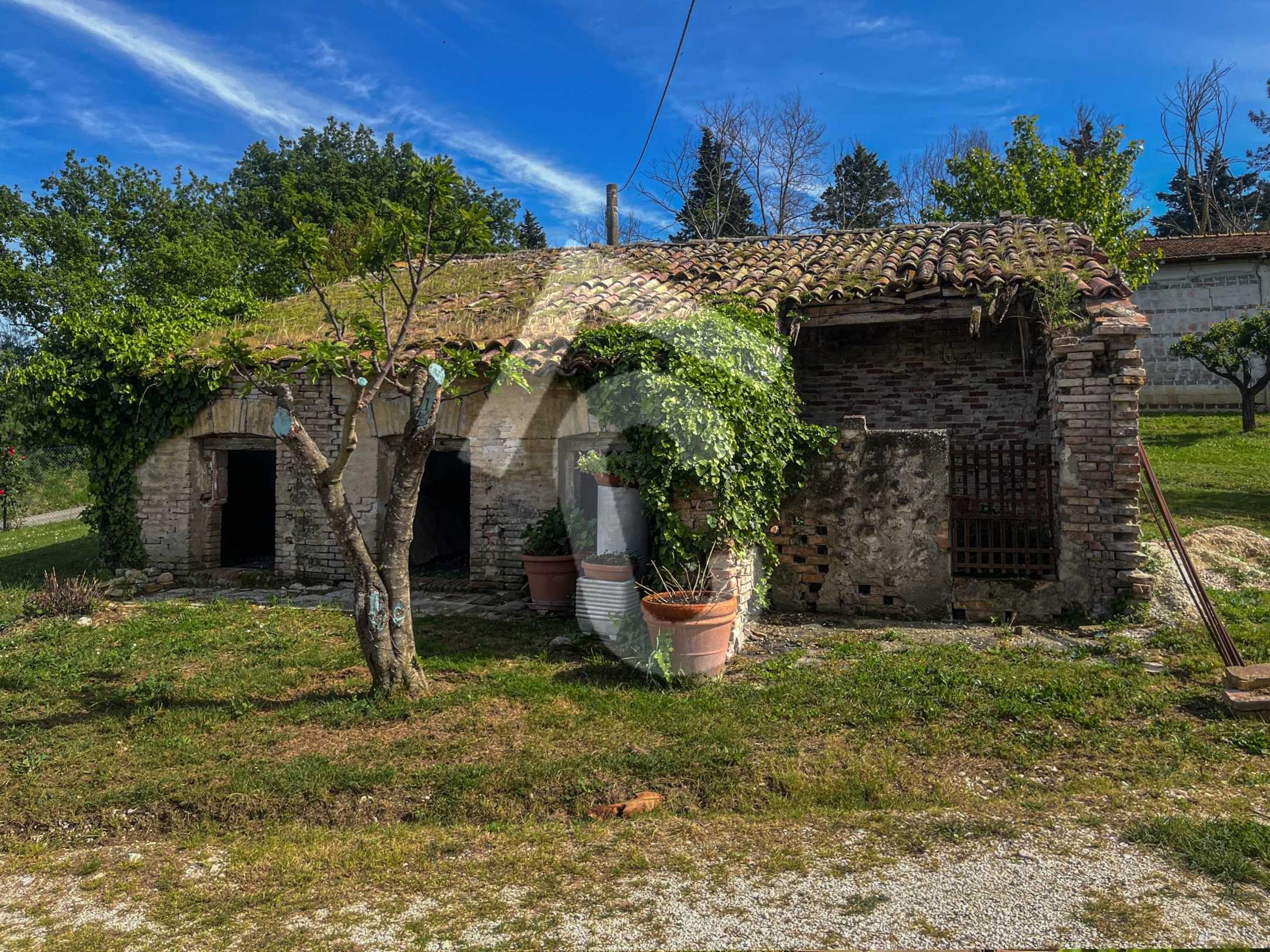 immagine annuncio 3 di 13