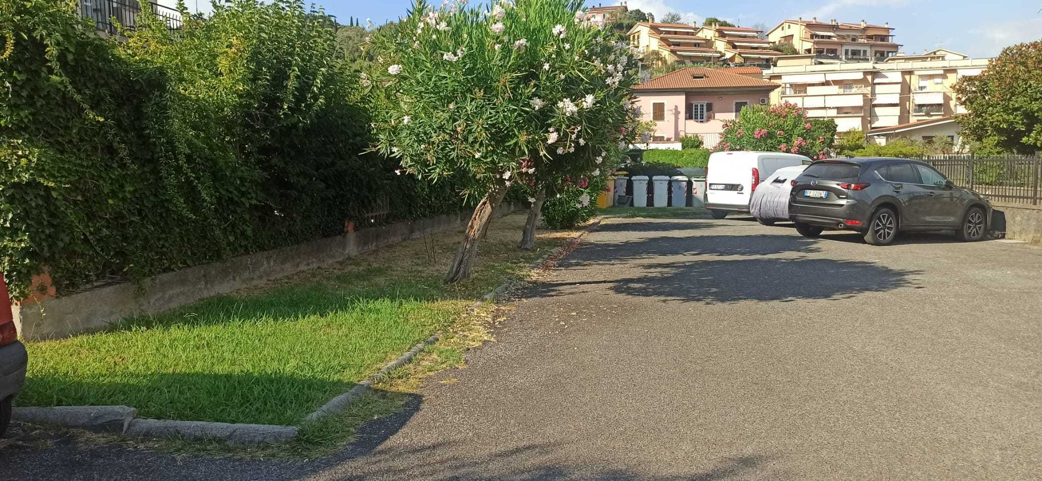  - foto 2