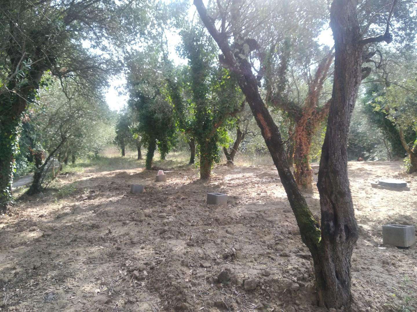  - foto 6