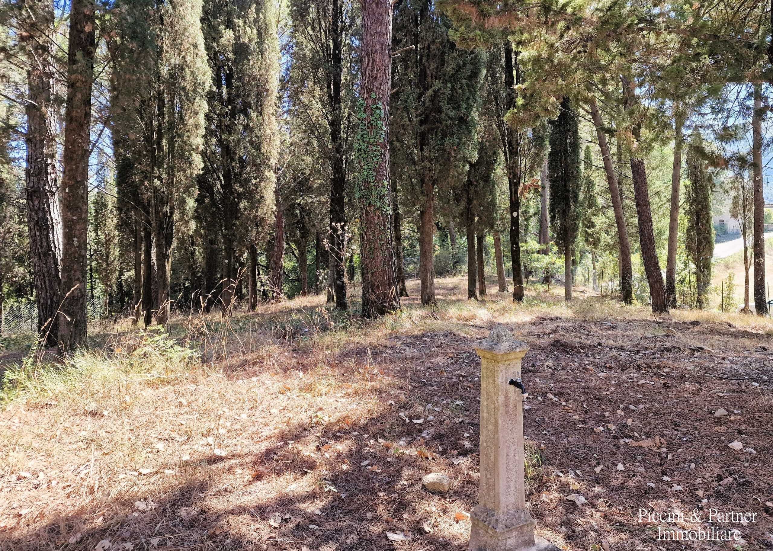  - foto 7
