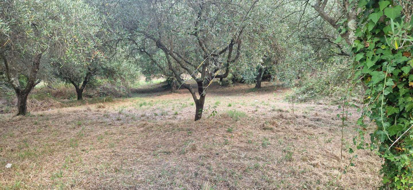 immagine annuncio 8 di 13