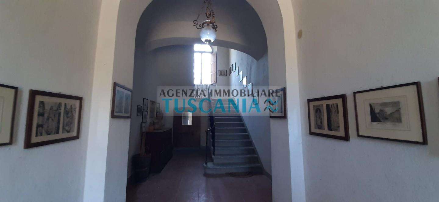  - foto 11