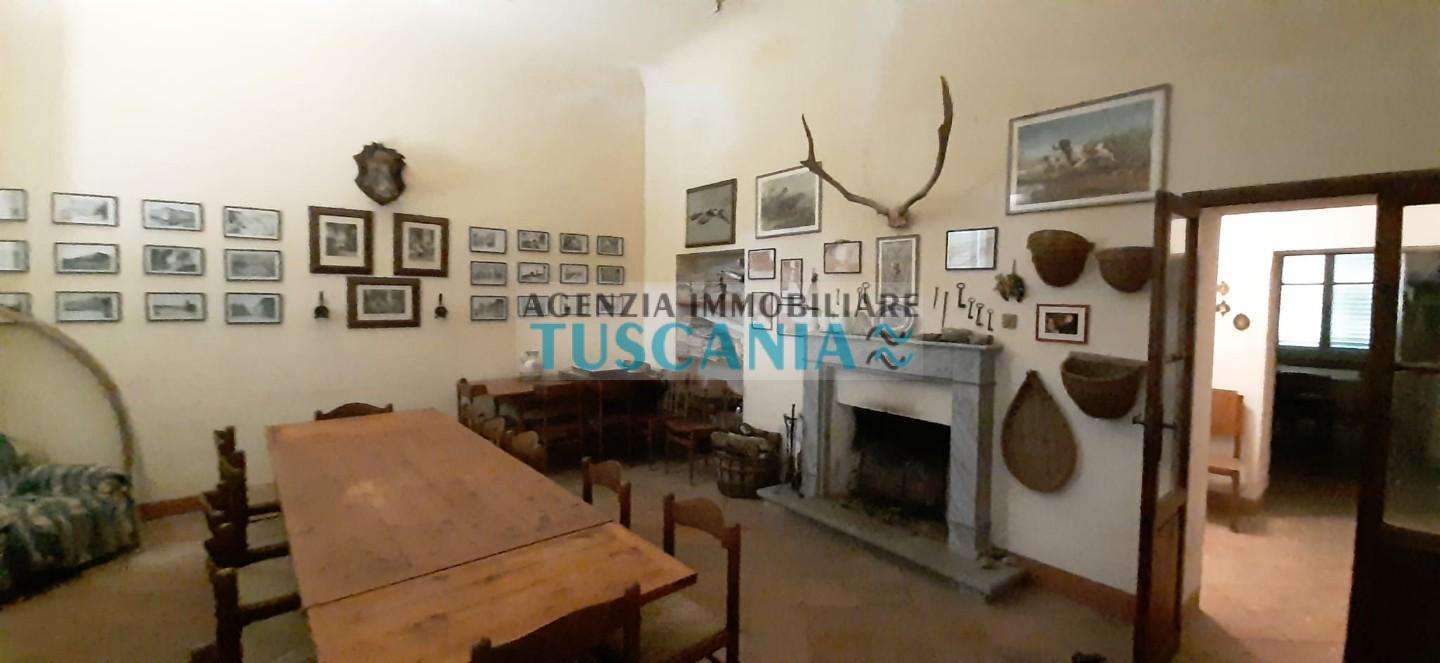  - foto 12