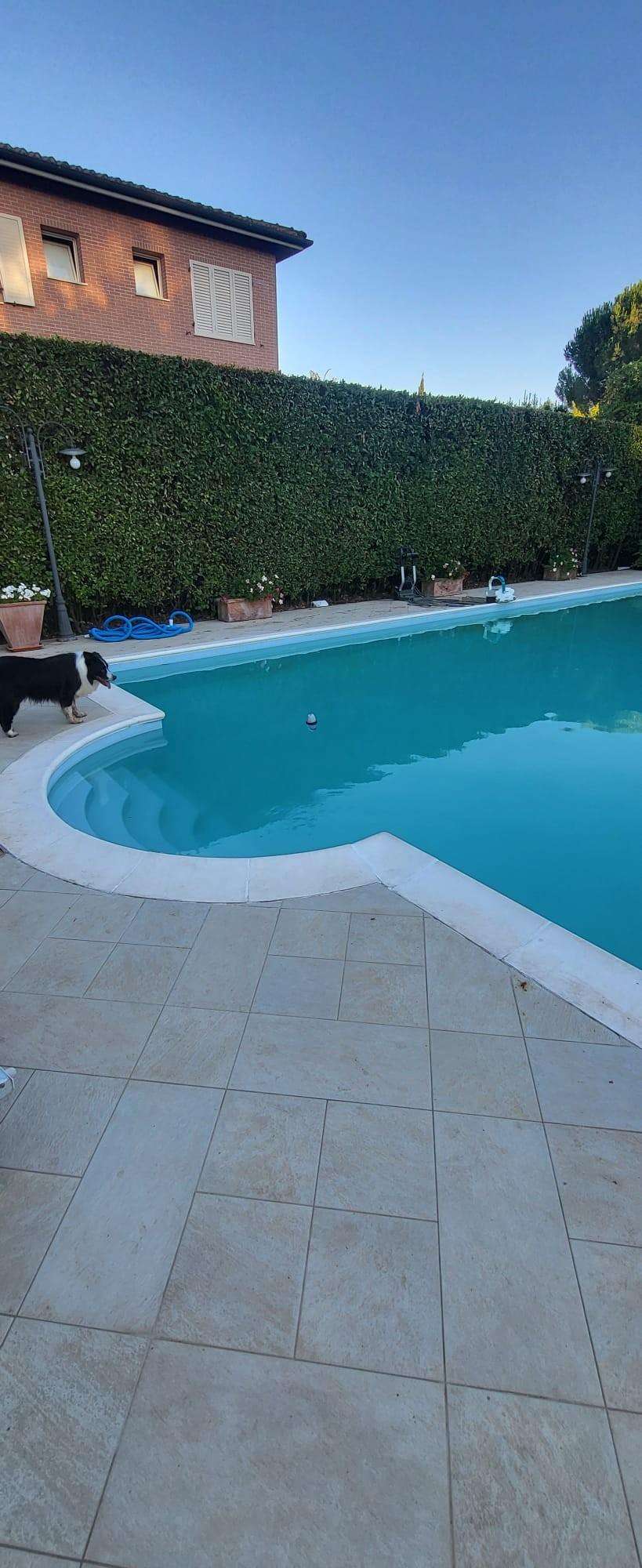  - foto 59