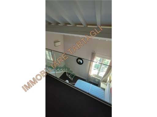  - foto 14