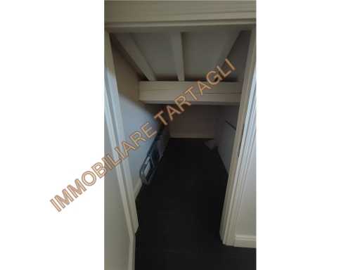  - foto 19