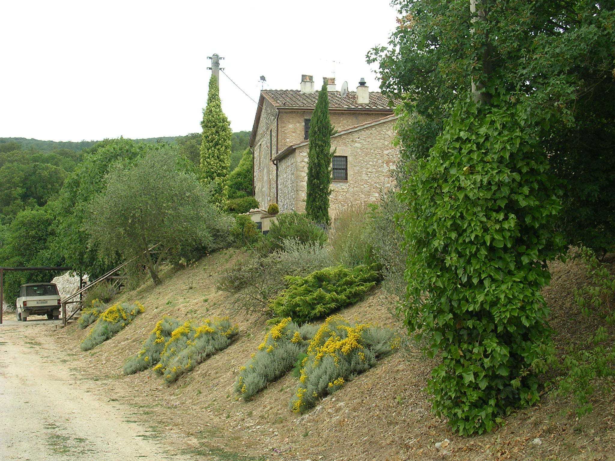  - foto 11