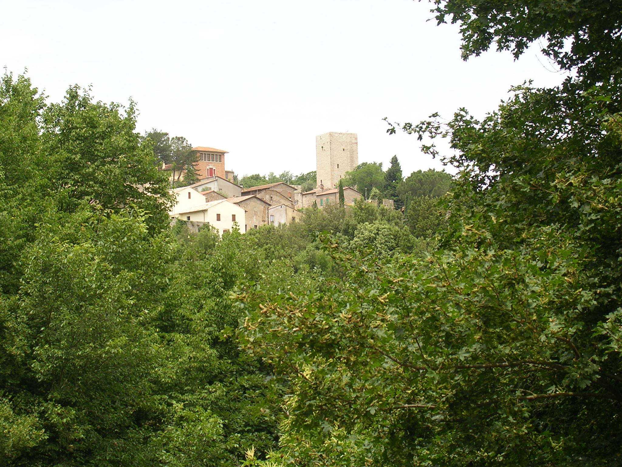  - foto 12