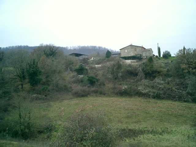  - foto 29