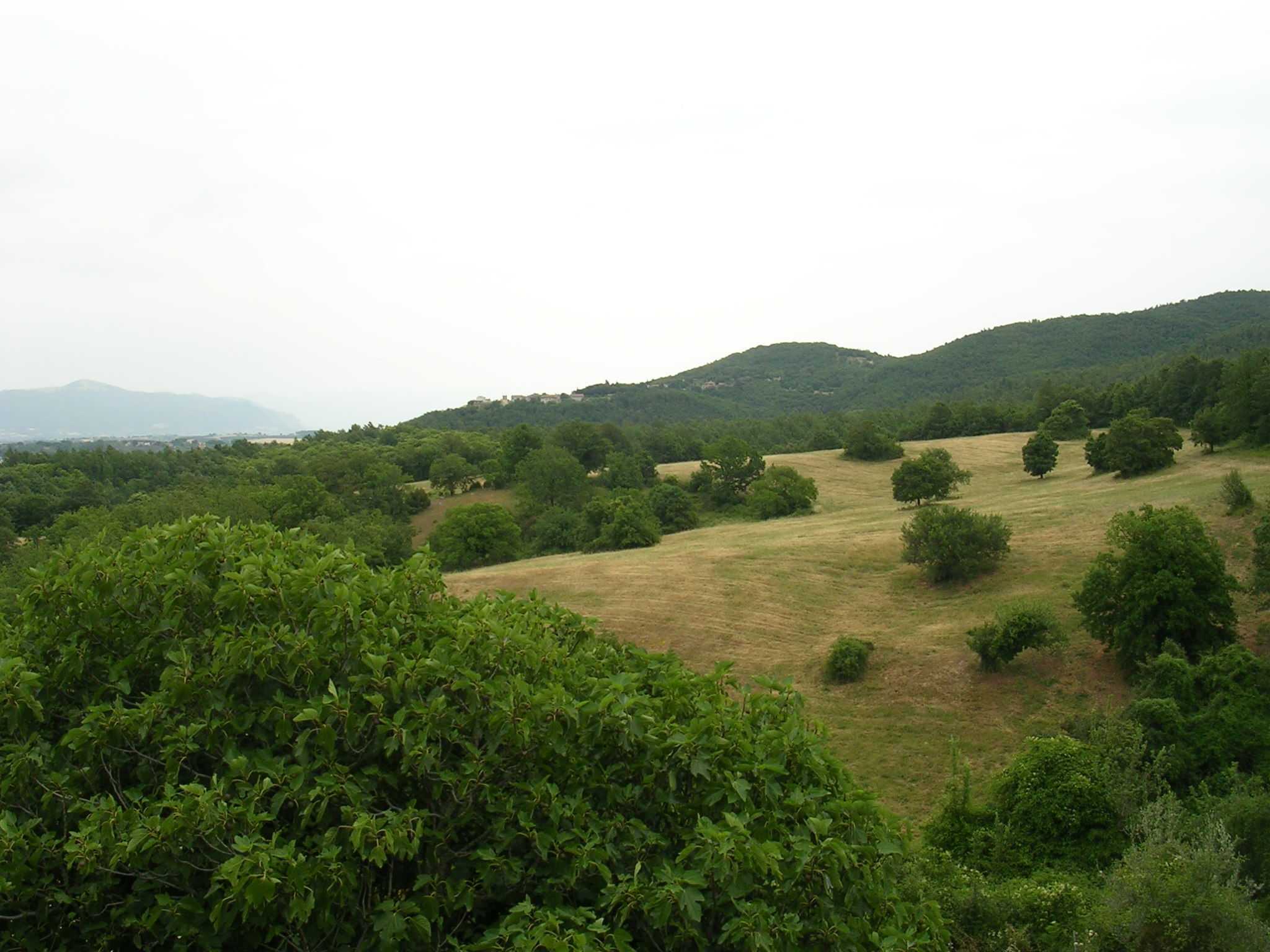  - foto 6
