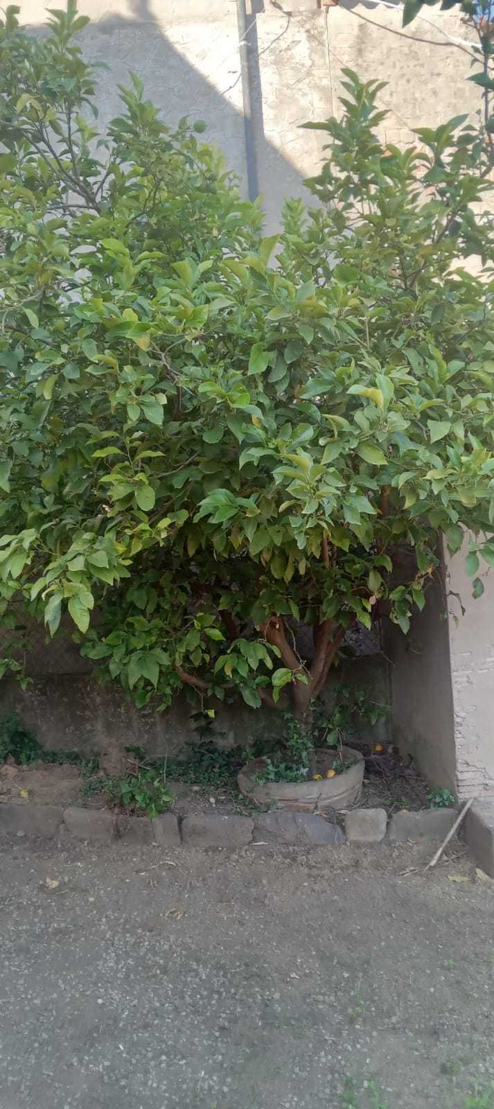  - foto 7