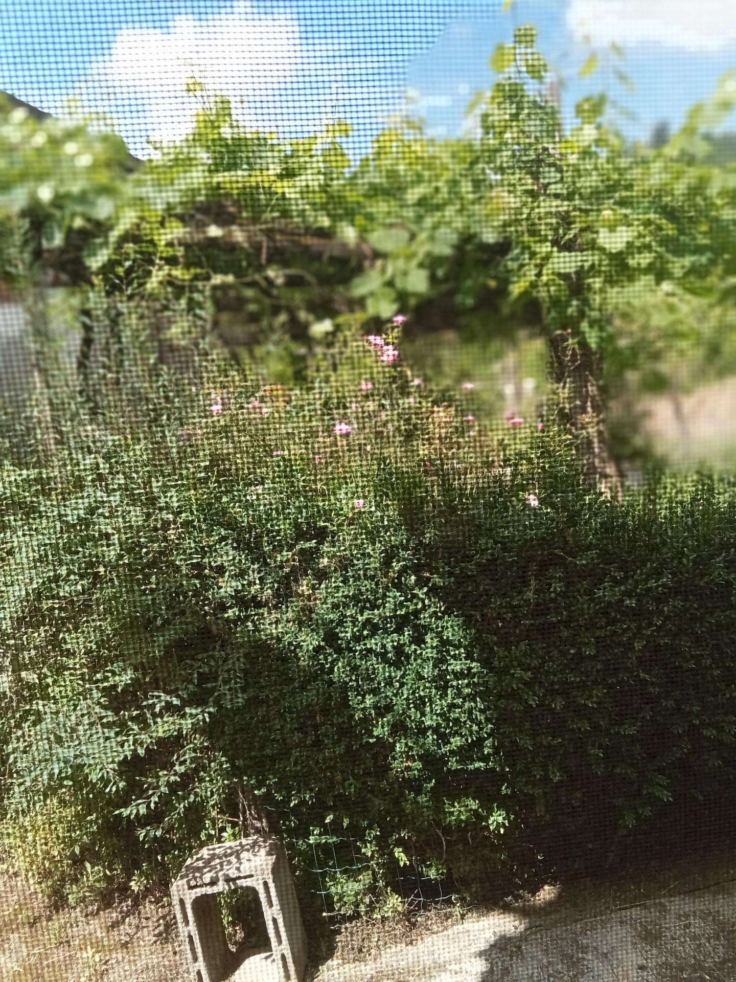  - foto 11