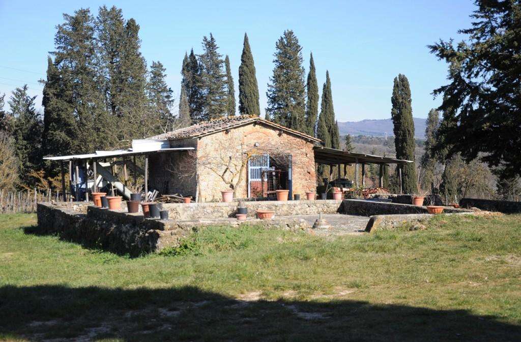  - foto 48