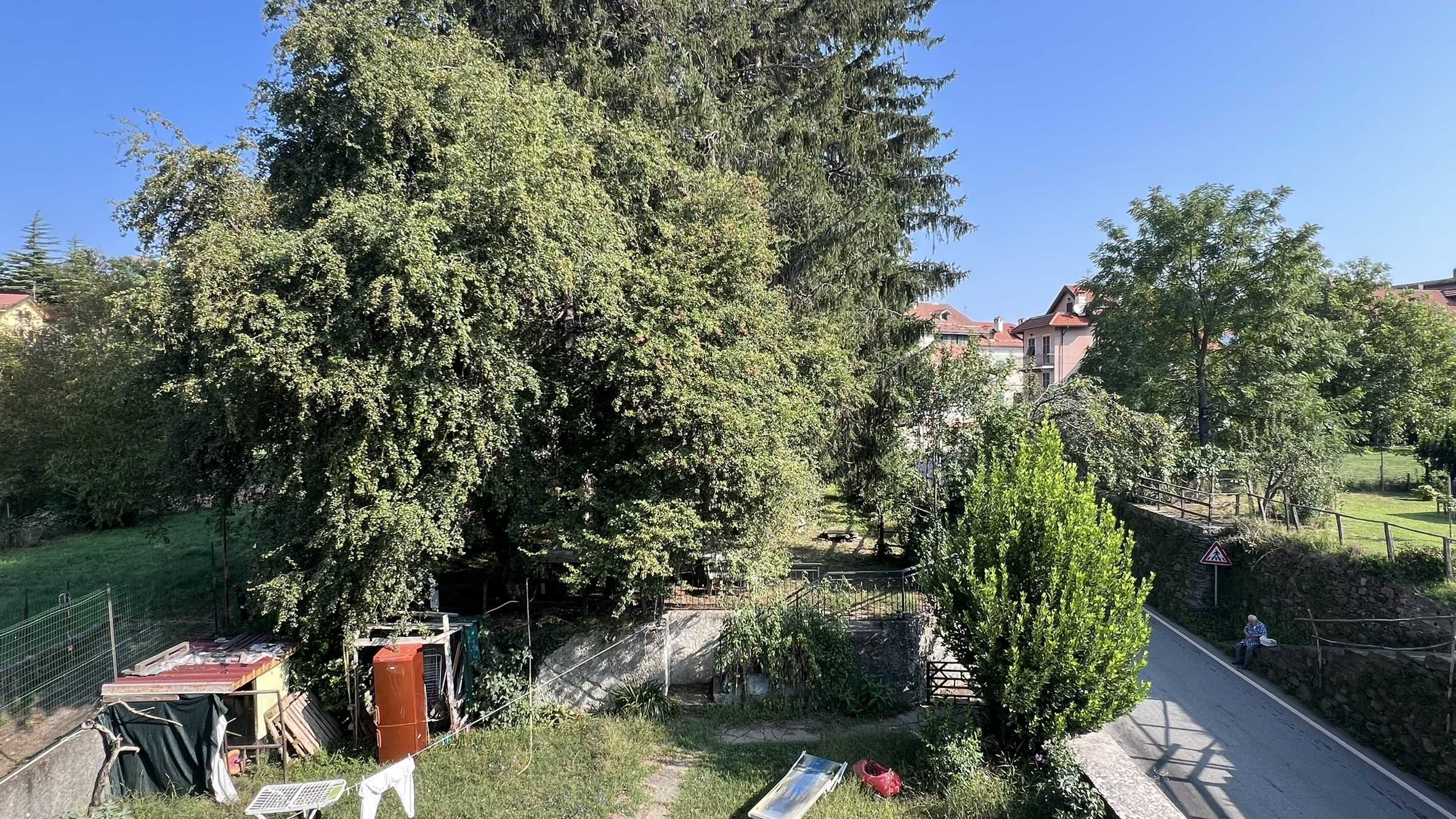  - foto 18