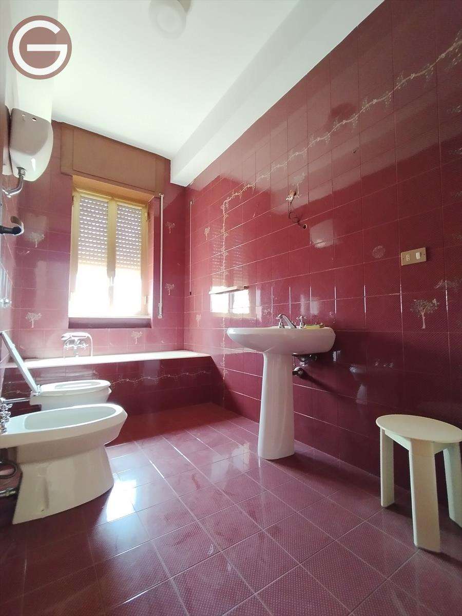 immagine annuncio 6 di 12