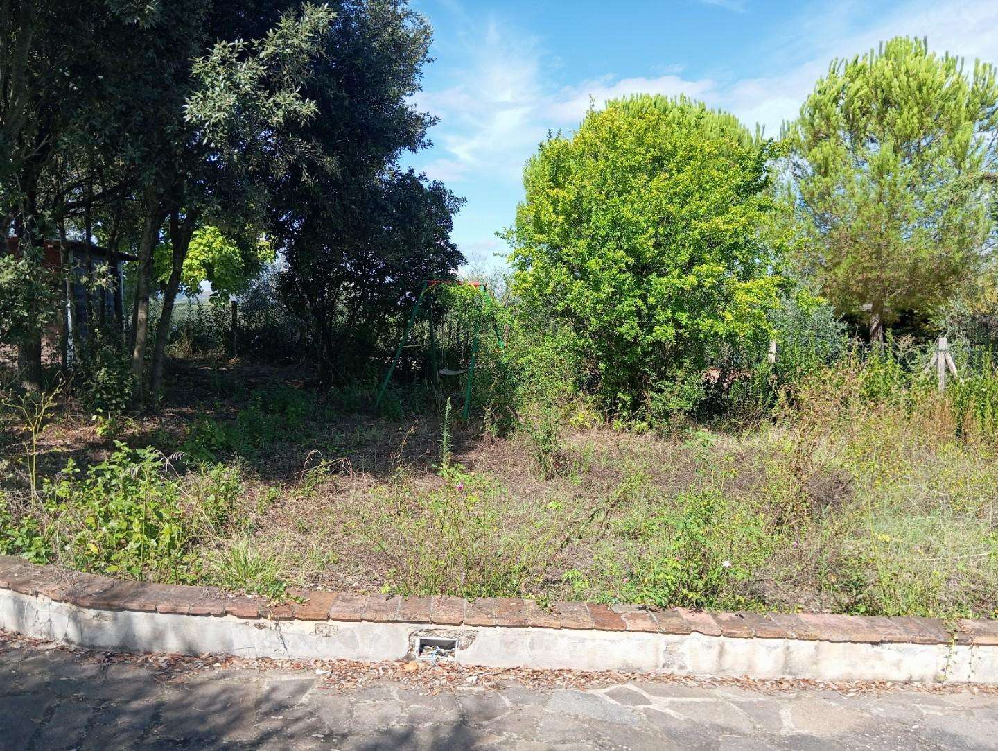  - foto 13