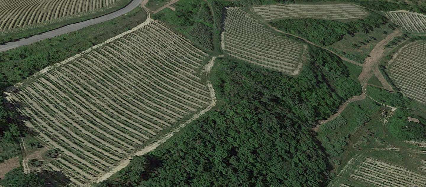 Azienda agricola Via Sasso,, San Miniato