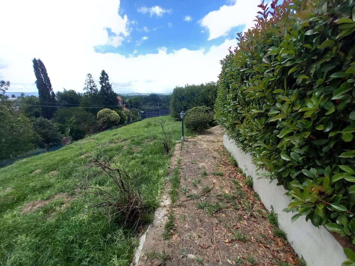  - foto 8